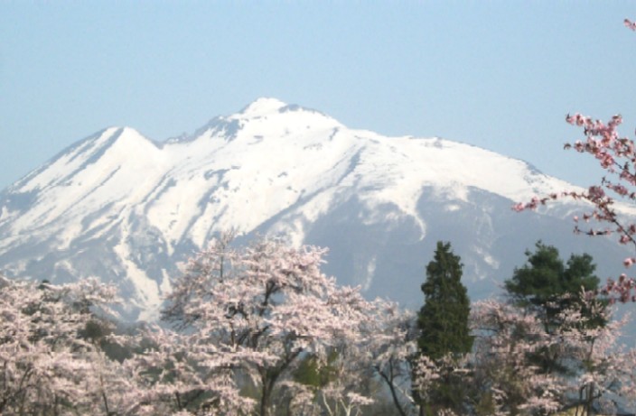 １００５０２～０５東北桜と岩木山 100a.jpg
